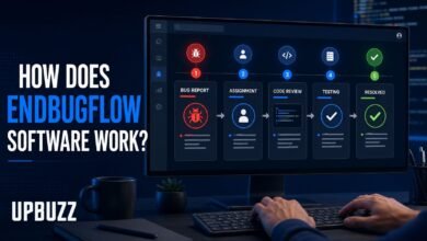 How Does EndBugFlow Software Work